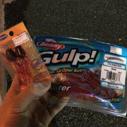 連夜のチニングでキビレ