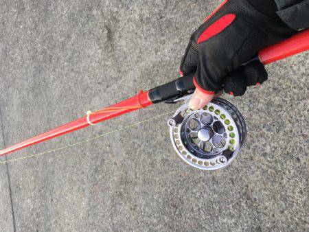 ヘチ釣りに行ってきた結果