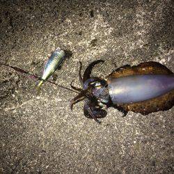 久しぶりの釣行