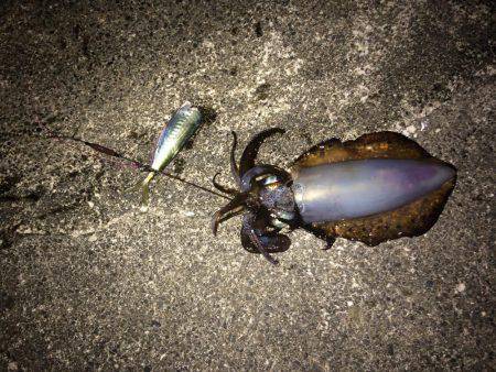 久しぶりの釣行