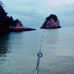 西表島・河口ライトショアジグ