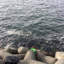 チヌ！何とか1枚