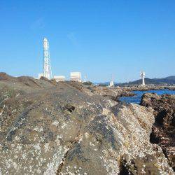 水温低下でグレ・・坊主でした・・