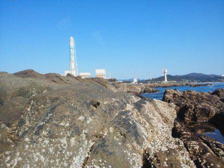 水温低下でグレ・・坊主でした・・