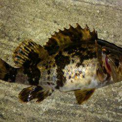 短時間ロックゲーム！