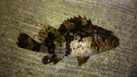 短時間ロックゲーム！