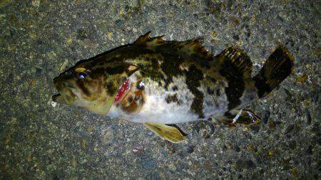 お手軽湾奥ロックゲーム！