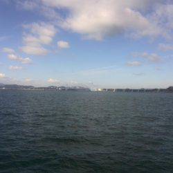 サビキで良型アジ、イワシ