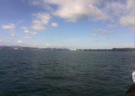 サビキで良型アジ、イワシ