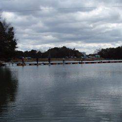 大安トラウトレイク 釣果