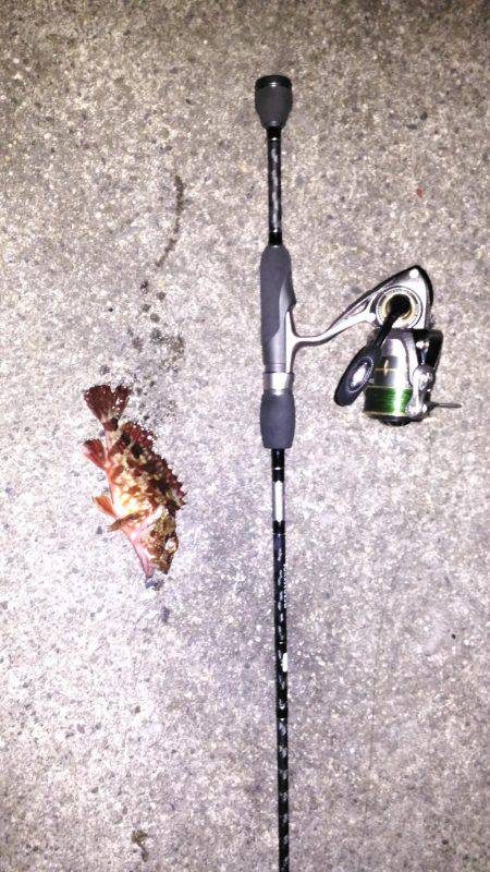 久しぶりのメバリング