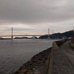 メバリングでマハゼ