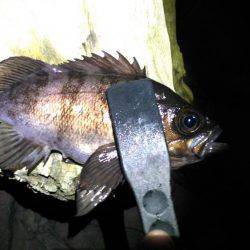 表層アミパターン攻略