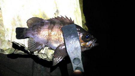 表層アミパターン攻略