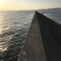 居残りタチウオ