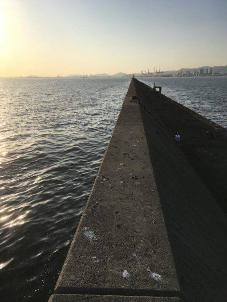 居残りタチウオ