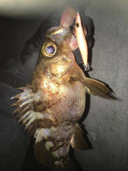 あられに打たれながら…