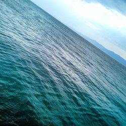 春一番で、やっと釣れた