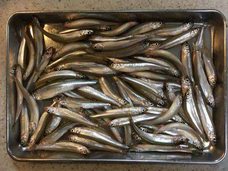 上津ダムのワカサギ、ざっくり束