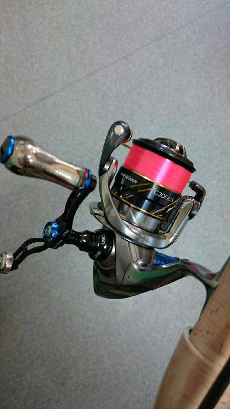 アジメバル調査