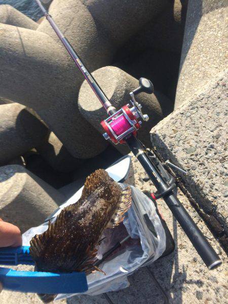 タルイチでコブトリ