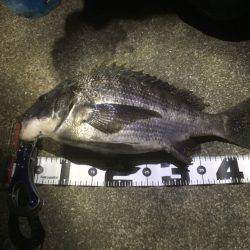 某水路にてライトゲーム