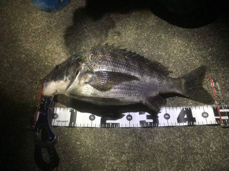 某水路にてライトゲーム