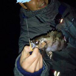 淡路島メバリング