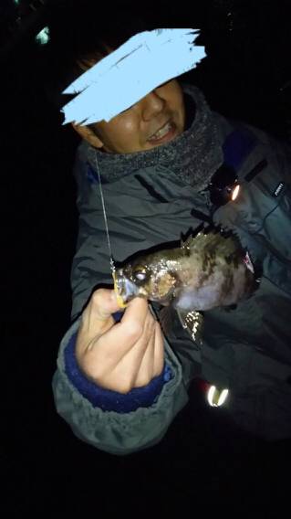 淡路島メバリング