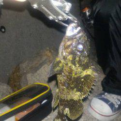 久々ライトゲーム