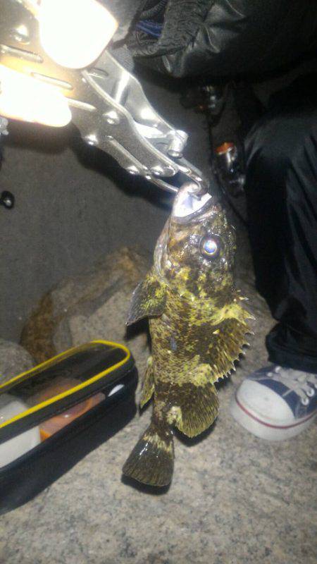 久々ライトゲーム