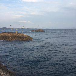 五島列島の沖磯 大鯨にて