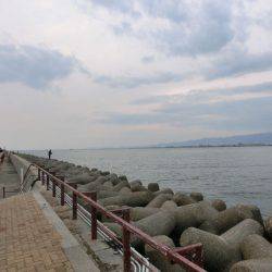 年無しに一歩及ばず。