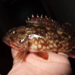 場所移動が正解