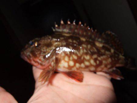 場所移動が正解