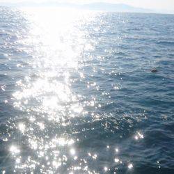 ヤリイカエギング