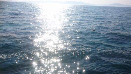 ヤリイカエギング