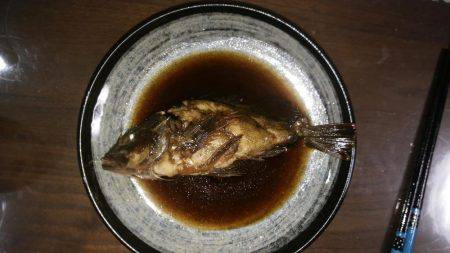 メバルorアジを求めて