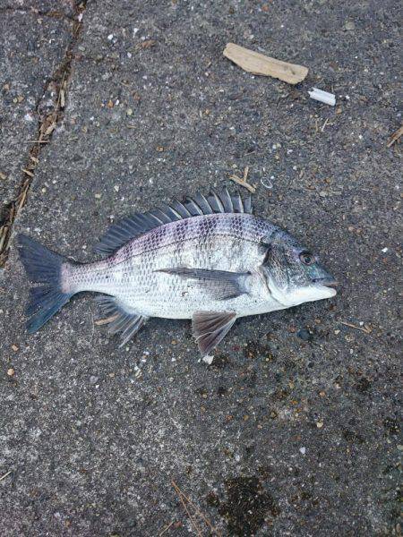 激渋の越中キス