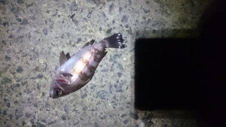 またしても強風。