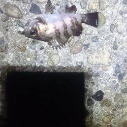 折角、風がないのに！