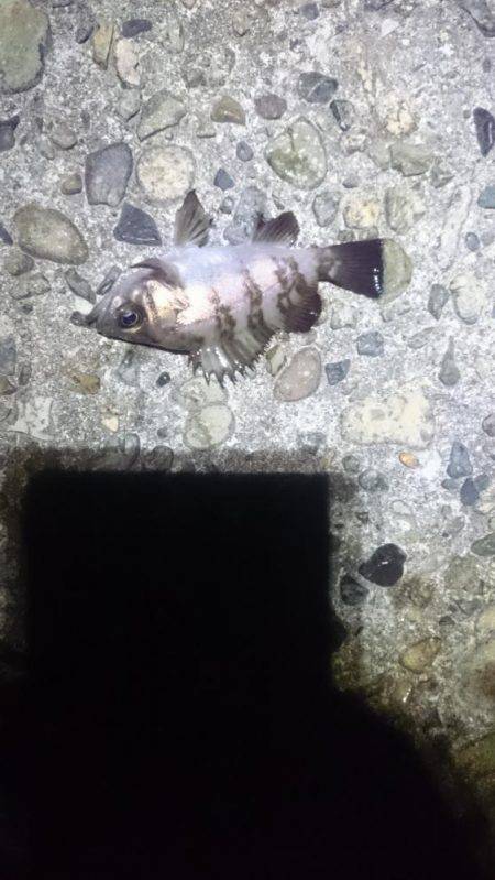 折角、風がないのに！