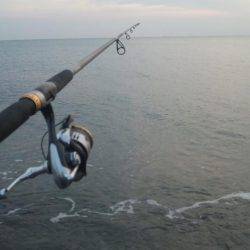 初めて釣りました!!