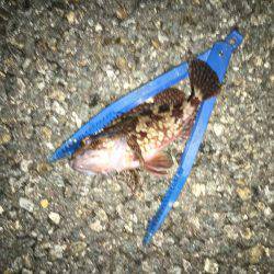 最大の敵は寒さだよ