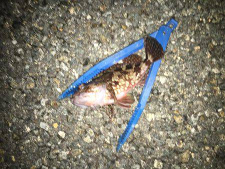 最大の敵は寒さだよ