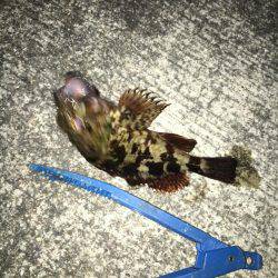 メバリング修行