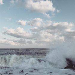 サゴシは300m先か？