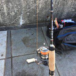 虫ヘッド、初挑戦