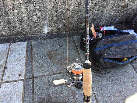 虫ヘッド、初挑戦