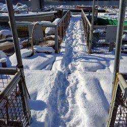 生野銀山湖ワカサギ釣り